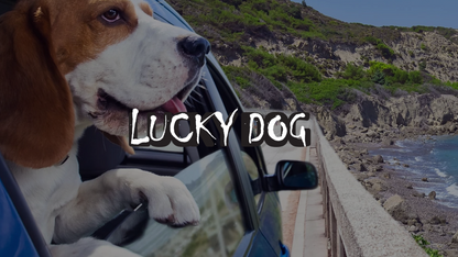 Lucky Dog Interior Odor Eliminator